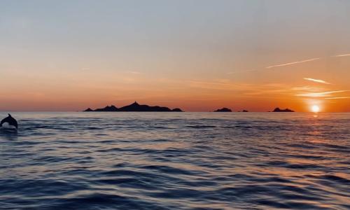 Les Iles Sanguinaires