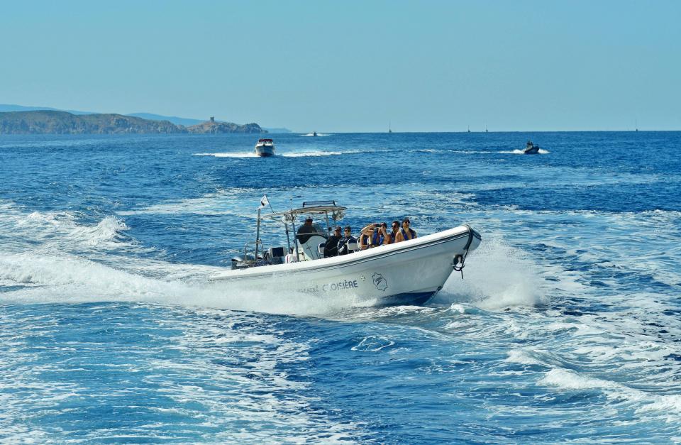 La passion de leur île